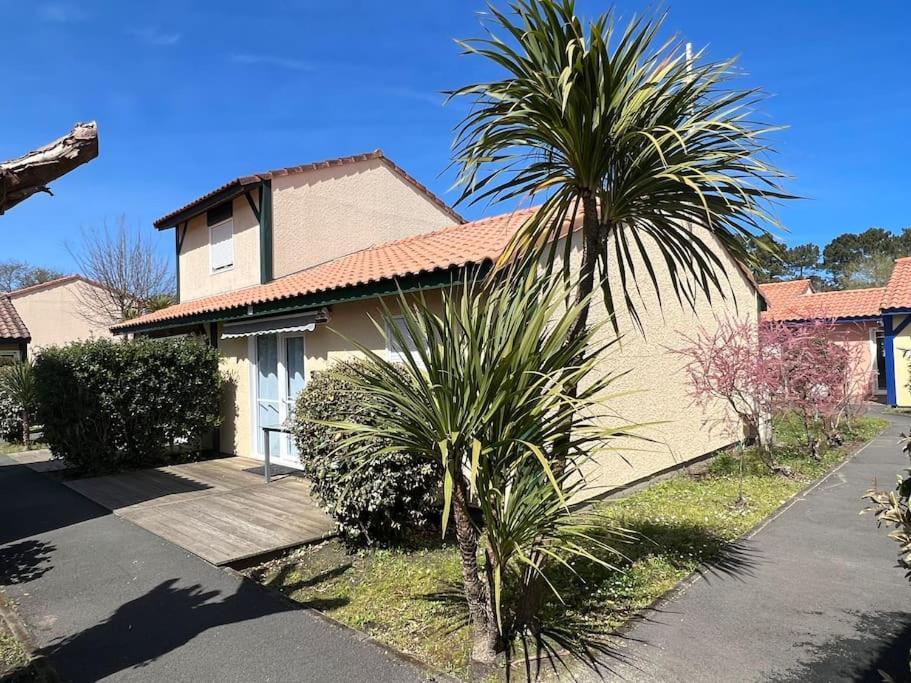 Moana / Vieux-boucau Apartment